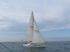 IMG_0668001.jpg