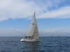 IMG_0670001.jpg