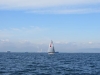 IMG_0671001.jpg