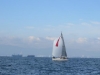 IMG_0672001.jpg