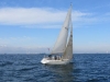 IMG_0673001.jpg