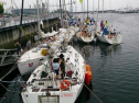 DSC_2374001.jpg