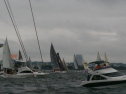 DSC_2423001.jpg