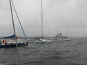 IMG_2786001.jpg