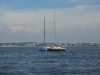 CIMG9020.jpg