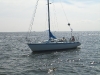CIMG9027.jpg