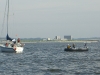 CIMG9031.jpg