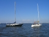 CIMG9033.jpg