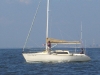 CIMG9036.jpg