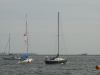 CIMG9049.jpg
