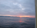 IMG_2580001.jpg
