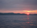 IMG_2581001.jpg