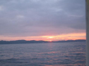 IMG_2587001.jpg