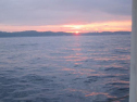 IMG_2588001.jpg