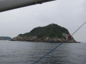 IMG_2594001.jpg