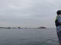 IMG_2598001.jpg