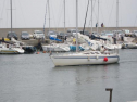IMG_2624001.jpg