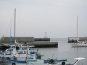 IMG_2626001.jpg
