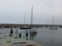 IMG_2636001.jpg