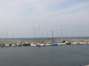 IMG_2894001.jpg