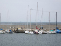 IMG_2896001.jpg