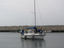 IMG_2898001.jpg