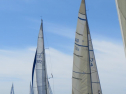 IMG_0477001.jpg