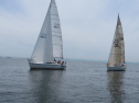 IMG_0556001.jpg
