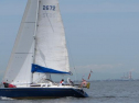IMG_0589001.jpg