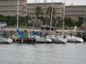 IMG_1978001.jpg