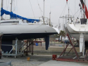 IMG_2061001.jpg