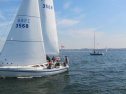 IMG_2828001.jpg