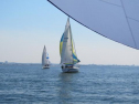 IMG_2843001.jpg