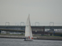 DSC_9934001.jpg