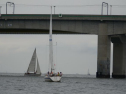 DSC_9937001.jpg