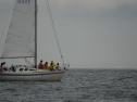 DSC_9943001.jpg