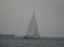 DSC_9946001.jpg