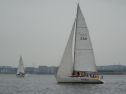 DSC_9955001.jpg