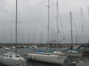 IMG_3176001.jpg