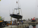 IMG_0806001.jpg