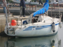 IMG_3270001.jpg