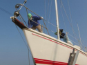 IMG_3281001.jpg