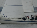 0037_xlarge001.jpg