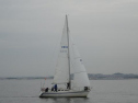 0053_xlarge001.jpg