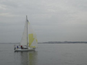 0063_xlarge001.jpg