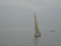 0081_xlarge001.jpg
