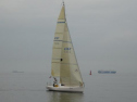 0084_xlarge001.jpg