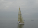 0085_xlarge001.jpg