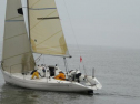 0089_xlarge001.jpg