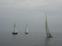 0090_xlarge001.jpg